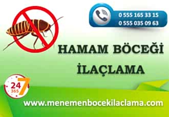 Hamam Böceği İlaçlama