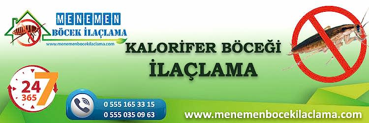 Kalorifer Böceği İlaçlama