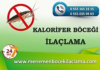 Kalorifer Böceği İlaçlama
