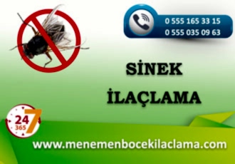 Sinek İlaçlama