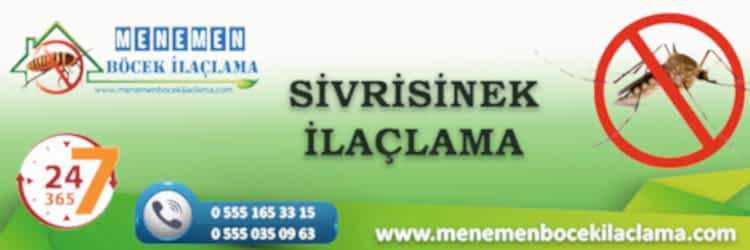 Sivrisinek İlaçlama