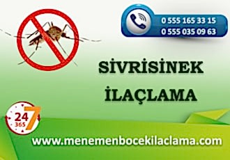 Sivrisinek İlaçlama