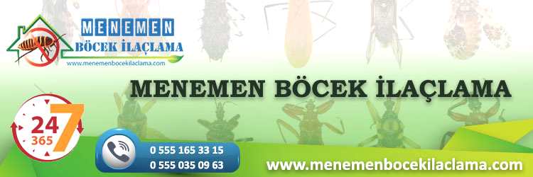 Menemen Böcek İlaçlama