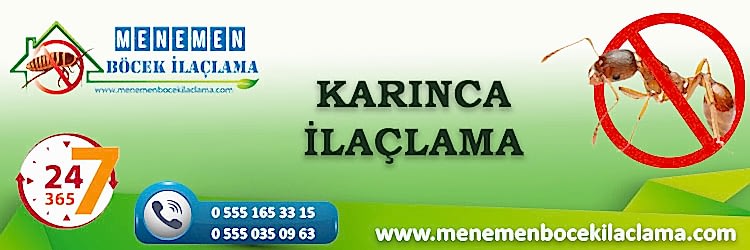 Karınca İlaçlama
