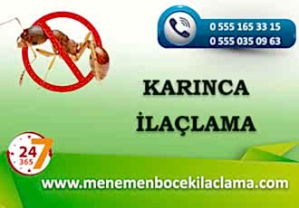 Karınca İlaçlama