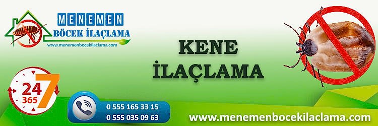 Kene İlaçlama