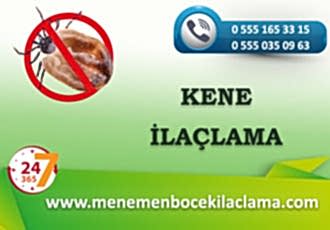 Kene İlaçlama