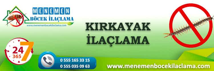 Kırkayak İlaçlama