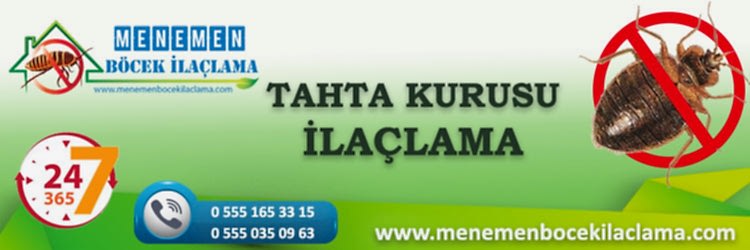 Tahta Kurusu İlaçlama