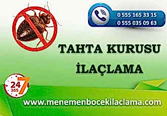 Tahta Kurusu İlaçlama