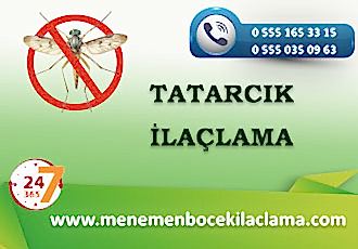 Tatarcık Böceği