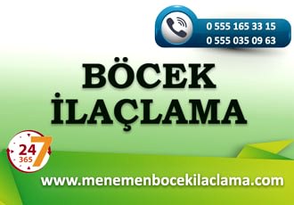 Böcek İlaçlama