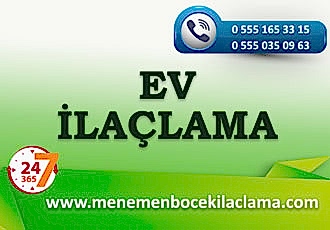 Ev İlaçlama